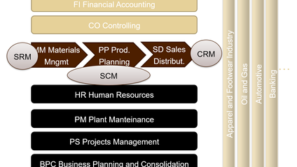 Product image for what is SAP - Basic Introductory Course