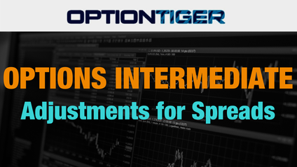 Product image for Adjustments for Option Spreads