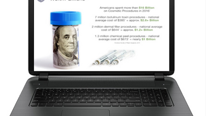 Product image for Introduction to The Business of Aesthetics