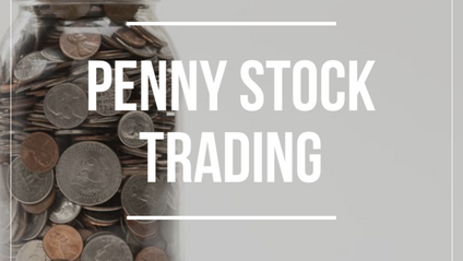 Product image for Penny Stocks 101: Pennies to Profits