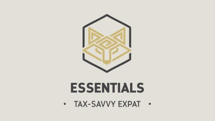 Product image for Tax-Savvy Expat: Essentials