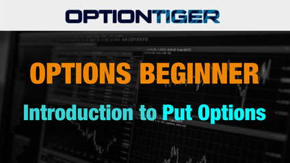 Product image for Introduction to Put Options