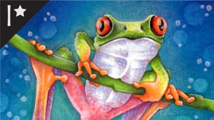 Product image for Tree Frog