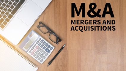 Product image for Mergers And Acquisitions Case Study Bootcamp