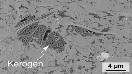 Product image for Thermal Maturity-Adjusted Log Interpretation in Organic Shales