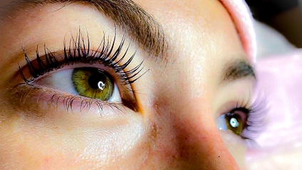 Product image for Brow Lamination and Lash Lift & Tint Class