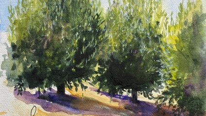 Product image for On The Road (the olive grove)