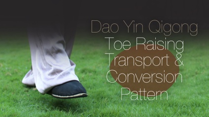 Product image for Level 1 Dao Yin Toe Raising Transport and Conversion Pattern Qigong Course
