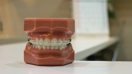 Product image for A New Orthodontic Paradigm for a Healthy Immune System