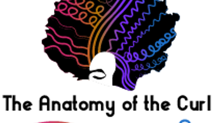 Product image for The Anatomy of the Curl