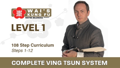 Product image for Sifu Wayne's Complete Ving Tsun System 1