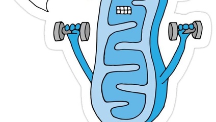 Product image for 'I've got the Power!'