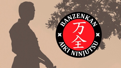 Product image for Aiki Ninjutsu Brown/Black Stripe Belt Curriculum