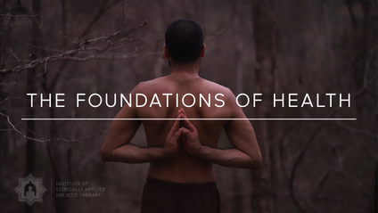 Product image for The Foundations of Health