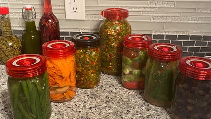 Product image for Pickling & Fermentation