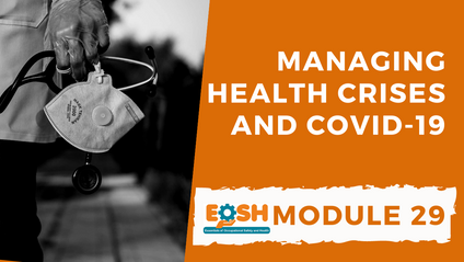 Product image for Managing Health Crises and Covid-19