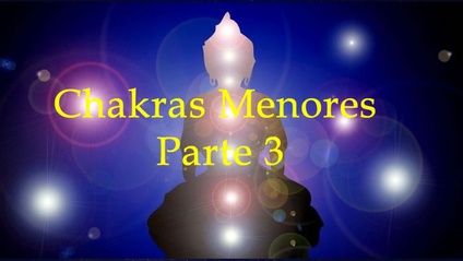 Product image for Reiju Chakras Menores parte 3
