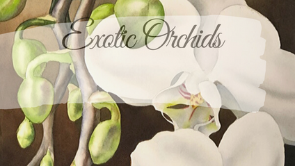 Product image for 3. Exotic Orchids Masterclass Series