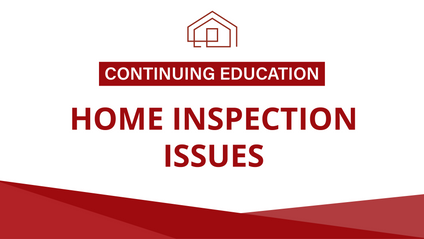 Product image for CE – Home Inspection Issues (2 hours)