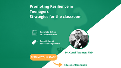 Product image for Resilience Roadmap: Guiding Teenagers through Classroom Challenges