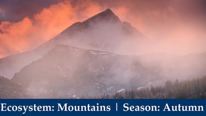 Product image for 📷⛺ Ep. 7: Wilderness Photography Expeditions | Autumn in the High Alpine