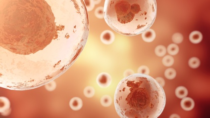Product image for Biologie Humaine - SH