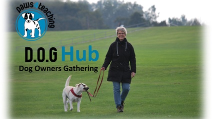 Product image for D.O.G Hub