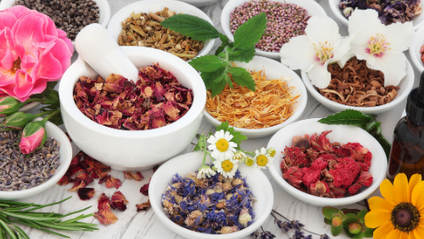 Product image for Small Steps into Natural Living