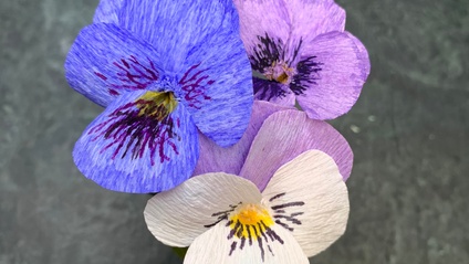 Product image for Pansies