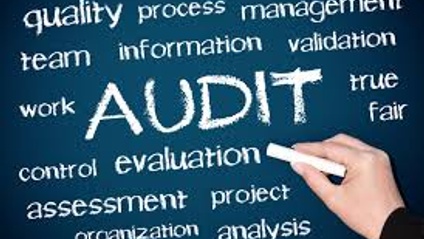 Product image for IT AUDIT
