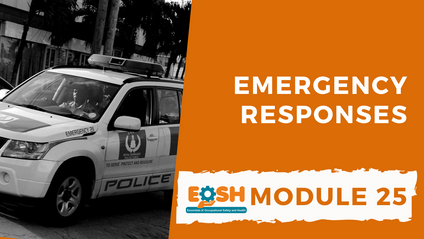 Product image for Emergency Responses