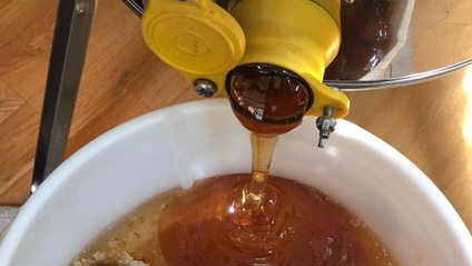 Product image for Honey Harvesting Class