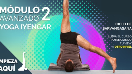 Product image for Módulo Avanzado Yoga Iyengar - II "Ciclo de Sarvangasana"