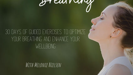 Product image for Breathing Lessons
