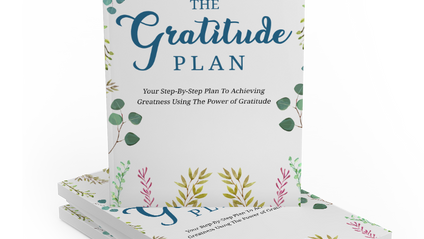 Product image for The Gratitude Plan