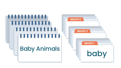 Product image for Doman Method Digital Reading Materials