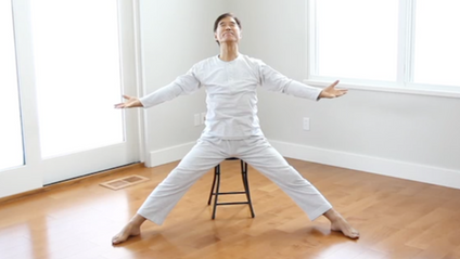 Product image for Sheng Zhen Healing Intro and Stage One