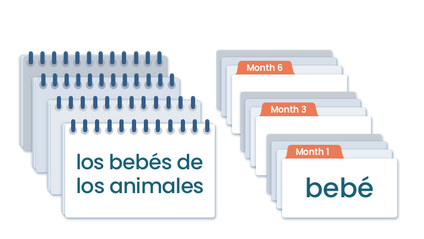 Product image for Doman Method Digital Reading Materials in Spanish