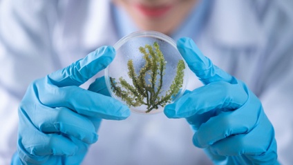 Product image for Plant Science & Botany Basics (196min)