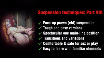 Product image for Suspension techniques: Part VIII