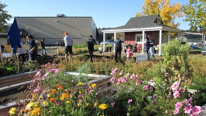 Product image for 4 Steps Towards a More Resilient Local Food System