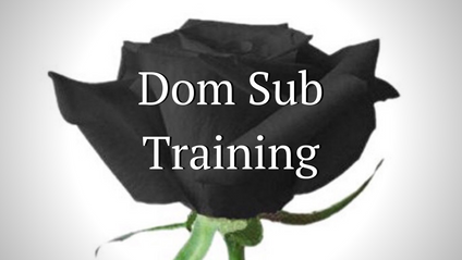 Product image for Dom Sub Training
