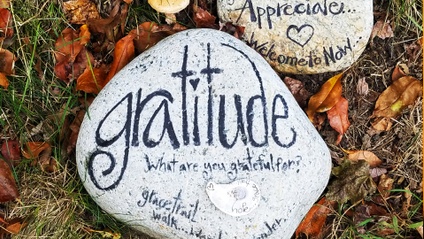 Product image for 30-day Gratitude Challenge