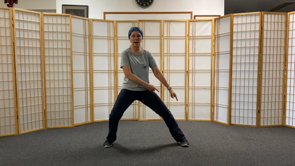 Product image for Weight shifting in taiji (and life)