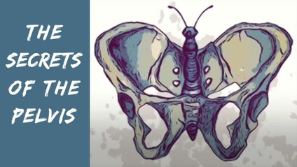 Product image for The Secrets of The Pelvis