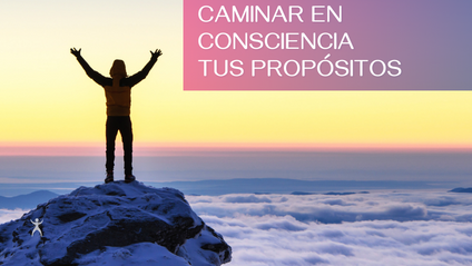 Product image for Caminar en Consciencia tus Propósitos