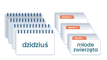 Product image for Doman Method Digital Reading Materials in Polish