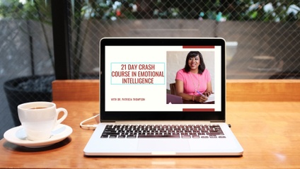 Product image for The 21 Day Crash Course in Emotional Intelligence