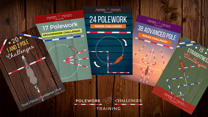 Product image for Listenology - Over 110+ Polework Exercises & Challenges to Download (with 36 months access)
