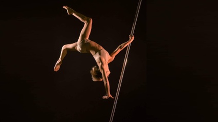 Product image for Silent Tutorials: Pole Jumps